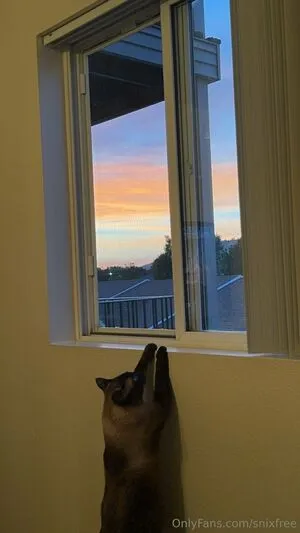 Snixfree OnlyFans Leaked Free Thumbnail Picture - #DX0NXL8WNP