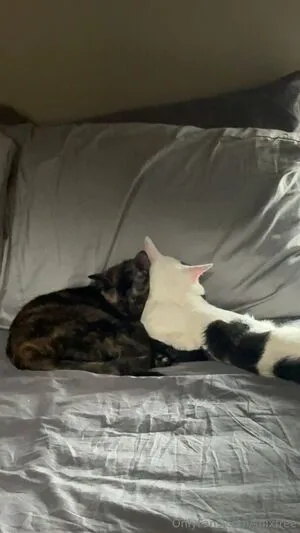 Snixfree OnlyFans Leaked Free Thumbnail Picture - #tb2kRQPpjS