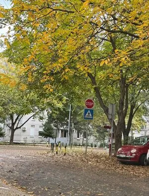 Snowmaiid OnlyFans Leaked Free Thumbnail Picture - #pJeTZRW7Tm