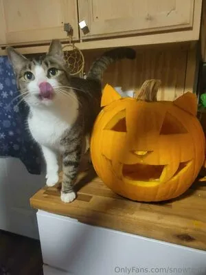 Snowtrinii OnlyFans Leaked Free Thumbnail Picture - #P80wF2CjsV