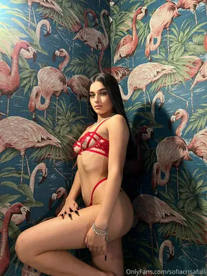 Sofia Crisafulli OnlyFans Leaked Free Thumbnail Picture - #n6q5Se7f7S