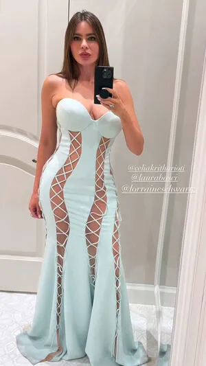 Sofia Vergara OnlyFans Leaked Free Thumbnail Picture - #ALTVBrUVXJ