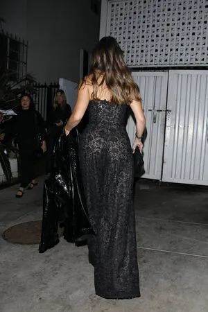 Sofia Vergara OnlyFans Leaked Free Thumbnail Picture - #OHJYgLdOQj