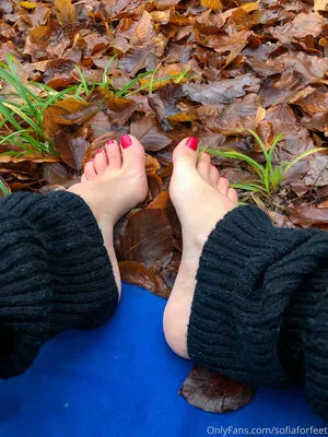 Sofiaforfeet OnlyFans Leaked Free Thumbnail Picture - #poRLQeIfJR