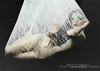 Softfluffyforbidden OnlyFans Leaked Free Thumbnail Picture - #iPkBmc5iAF