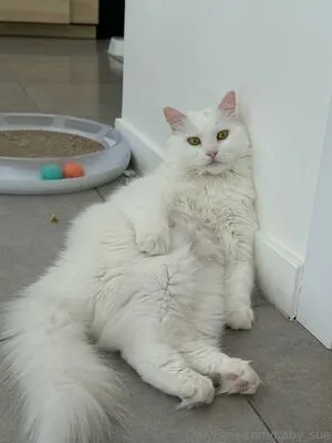 Solazolafree OnlyFans Leaked Free Thumbnail Picture - #N1kaPy4l31