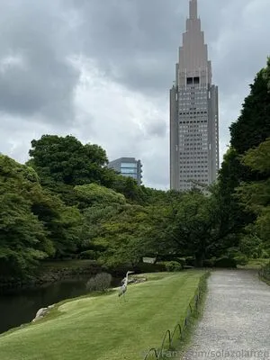 Solazolafree OnlyFans Leaked Free Thumbnail Picture - #h5K1xsMvFW