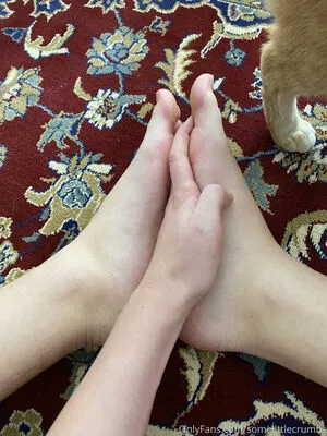 Somelittlecrumbs OnlyFans Leaked Free Thumbnail Picture - #iaK0I2XyQ9