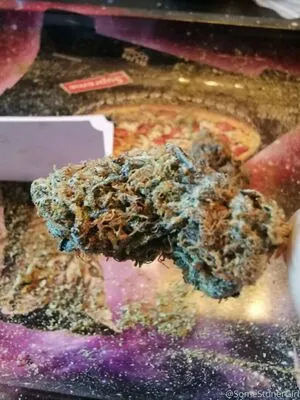 Somestonergirl OnlyFans Leaked Free Thumbnail Picture - #InKuwSwVod