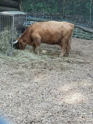 Sonjahaze OnlyFans Leaked Free Thumbnail Picture - #AsI7jNh9Lc