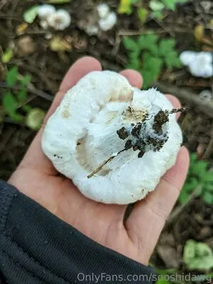 Sooshidawg OnlyFans Leaked Free Thumbnail Picture - #7QtqVJQTSO