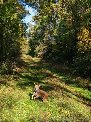 Sooshidawg OnlyFans Leaked Free Thumbnail Picture - #xzrTMgZeHE