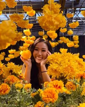 Sophia Phan OnlyFans Leaked Free Thumbnail Picture - #3bnTnrKsbc
