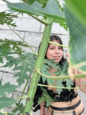 Soyaishaaa OnlyFans Leaked Free Thumbnail Picture - #JMVvvZAu9V