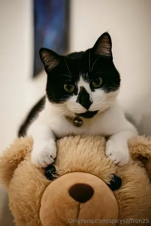 Spicysaffron25 OnlyFans Leaked Free Thumbnail Picture - #F1b5zvOK2v