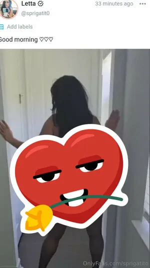 Sprigatito OnlyFans Leaked Free Thumbnail Picture - #qVKxrvkEYY