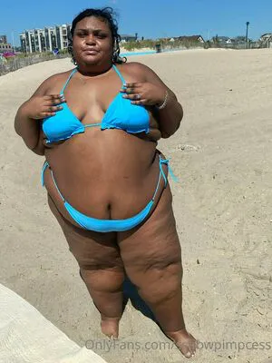 Ssbbwpimpcess OnlyFans Leaked Free Thumbnail Picture - #d5pHePN1wi