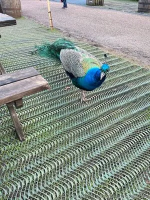 Stacesumsfree OnlyFans Leaked Free Thumbnail Picture - #1GwmVNFBdL