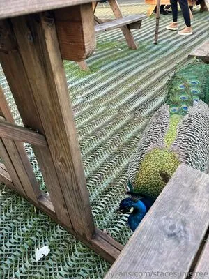 Stacesumsfree OnlyFans Leaked Free Thumbnail Picture - #k2Q5mc3mAP