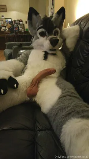 Stallionwolf OnlyFans Leaked Free Thumbnail Picture - #7E05j0HQtc