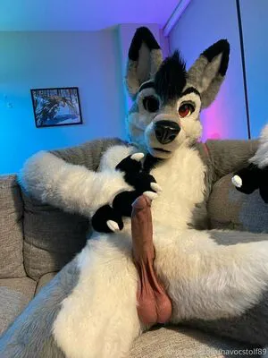Stallionwolf OnlyFans Leaked Free Thumbnail Picture - #LcnZ4wE602
