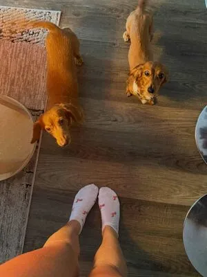 Stef Solari OnlyFans Leaked Free Thumbnail Picture - #Skf9PhCOt2