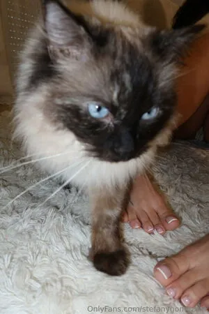 Stefanygomezxxx OnlyFans Leaked Free Thumbnail Picture - #DPJ00b366n