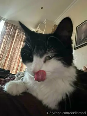 Stellamori OnlyFans Leaked Free Thumbnail Picture - #DaSRmZhedI