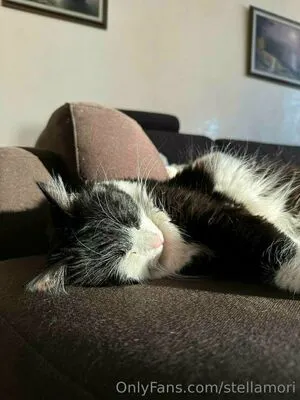 Stellamori OnlyFans Leaked Free Thumbnail Picture - #WR9OWWCD7d