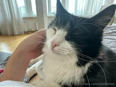 Stellamori OnlyFans Leaked Free Thumbnail Picture - #vzl6XxhDxF