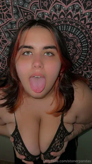 Stonerpandas OnlyFans Leaked Free Thumbnail Picture - #5cGld2aigU
