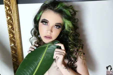 Stoney Sg OnlyFans Leaked Free Thumbnail Picture - #v2UO90cIxu