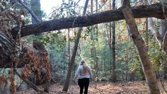 Strawberry Bree OnlyFans Leaked Free Thumbnail Picture - #WeEaAPYAIY