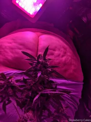 Strawberry Cakes OnlyFans Leaked Free Thumbnail Picture - #KkkuCqcxU5