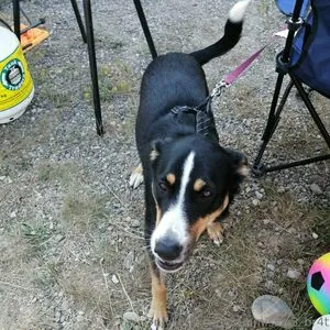 Submissiv3 Br4t OnlyFans Leaked Free Thumbnail Picture - #sKMRHQZ2uU