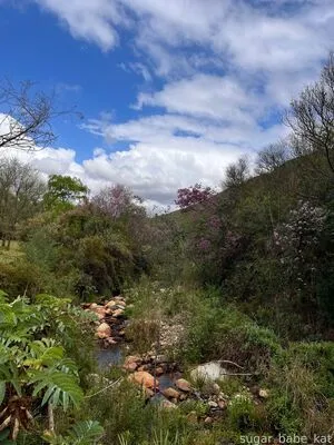 Sugar Babe Kat OnlyFans Leaked Free Thumbnail Picture - #KylMGoMqfP