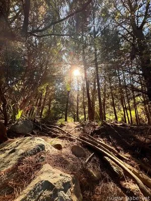 Sugar Babe Kat OnlyFans Leaked Free Thumbnail Picture - #OPPwZXfTak