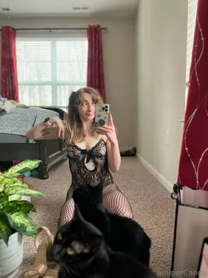 Sugartime OnlyFans Leaked Free Thumbnail Picture - #s0BVNRIWRH