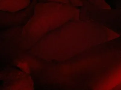 Suki Waterhouse OnlyFans Leaked Free Thumbnail Picture - #KWZaLlXEZT