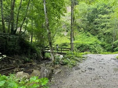 Sulted Sult OnlyFans Leaked Free Thumbnail Picture - #EBkTQYrcOZ