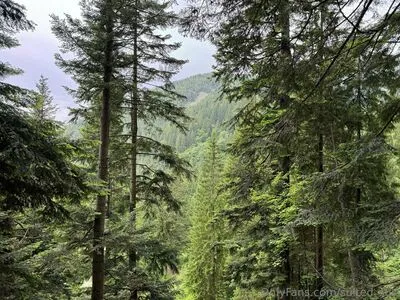 Sulted Sult OnlyFans Leaked Free Thumbnail Picture - #GTAvyJAluF