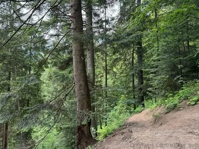 Sulted Sult OnlyFans Leaked Free Thumbnail Picture - #KanemFfHwY