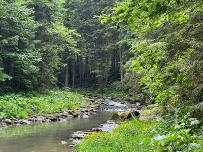 Sulted Sult OnlyFans Leaked Free Thumbnail Picture - #SSNxTbs5F3