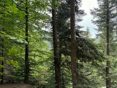 Sulted Sult OnlyFans Leaked Free Thumbnail Picture - #cjl3ICsuvC