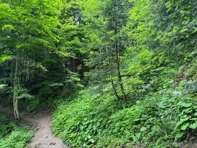 Sulted Sult OnlyFans Leaked Free Thumbnail Picture - #xN4Sxctktk