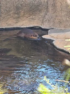 Sumstunna OnlyFans Leaked Free Thumbnail Picture - #HU0cxYzubx