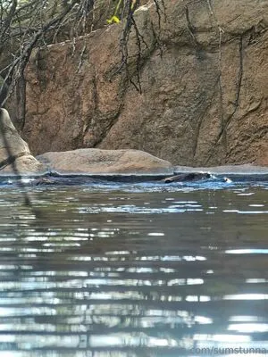 Sumstunna OnlyFans Leaked Free Thumbnail Picture - #IIZIHjbS1a