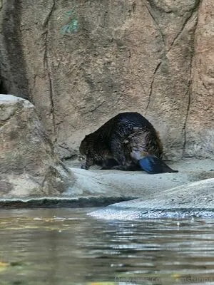 Sumstunna OnlyFans Leaked Free Thumbnail Picture - #zZdjbA4sQd