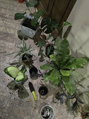 Sunnywoods OnlyFans Leaked Free Thumbnail Picture - #YDQ7ujw5UZ