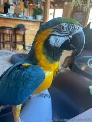 Sunshine657 OnlyFans Leaked Free Thumbnail Picture - #BLmHLhWDf3